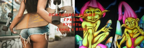 шишки Алексеевка